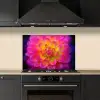 Roze - Dahlia - Kleurrijk keuken achterwand spatscherm klein -sfeer1