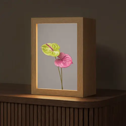 Planten - Anthurium - Groen - Roze Light Box met kabel (Tafellamp) klein -z3d_website