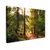 Bos - Pad - Bomen - Groen - Zon - Natuur canvas 2cm klein -z3d