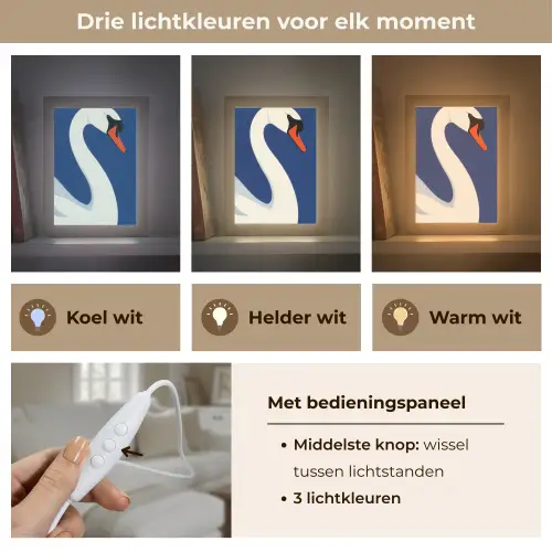 Zwaan - Wit - Snavel - Illustratie Light Box met kabel (Tafellamp) klein -USP_lichtkleurNL