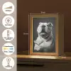 Buldog - Hond - Glas Light Box met kabel (Tafellamp) klein -USP_NL