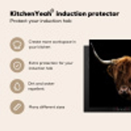 Schaduw en Licht Inductie beschermer vinyl 3mm middel -vsfeer2_ENG