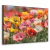 Bloemenveld - Klaprozen - Kleurrijk Textielframe zwart klein -3d