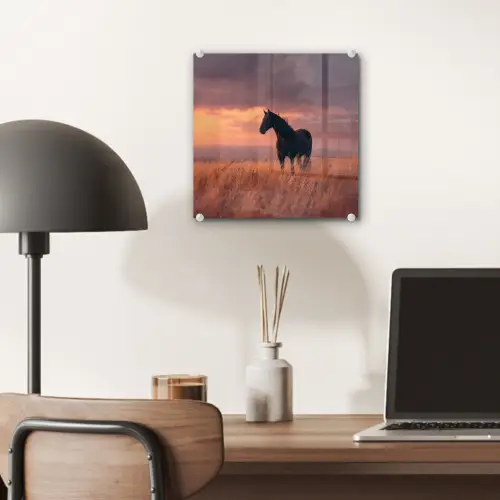 Paard - Wolken - Open veld plexiglas 5mm klein -sfeer6