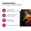 Specerijen - Explosie - Oranje Inductie beschermer vinyl 3mm klein -zzzzzzz-lf-ups