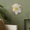 Narcis - Bloem - Minimalistisch Akoestische PET Vilt - Rond klein -sfeer2