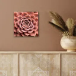 Vetplant - Organisch - Roze aluminium wit klein -sfeer4
