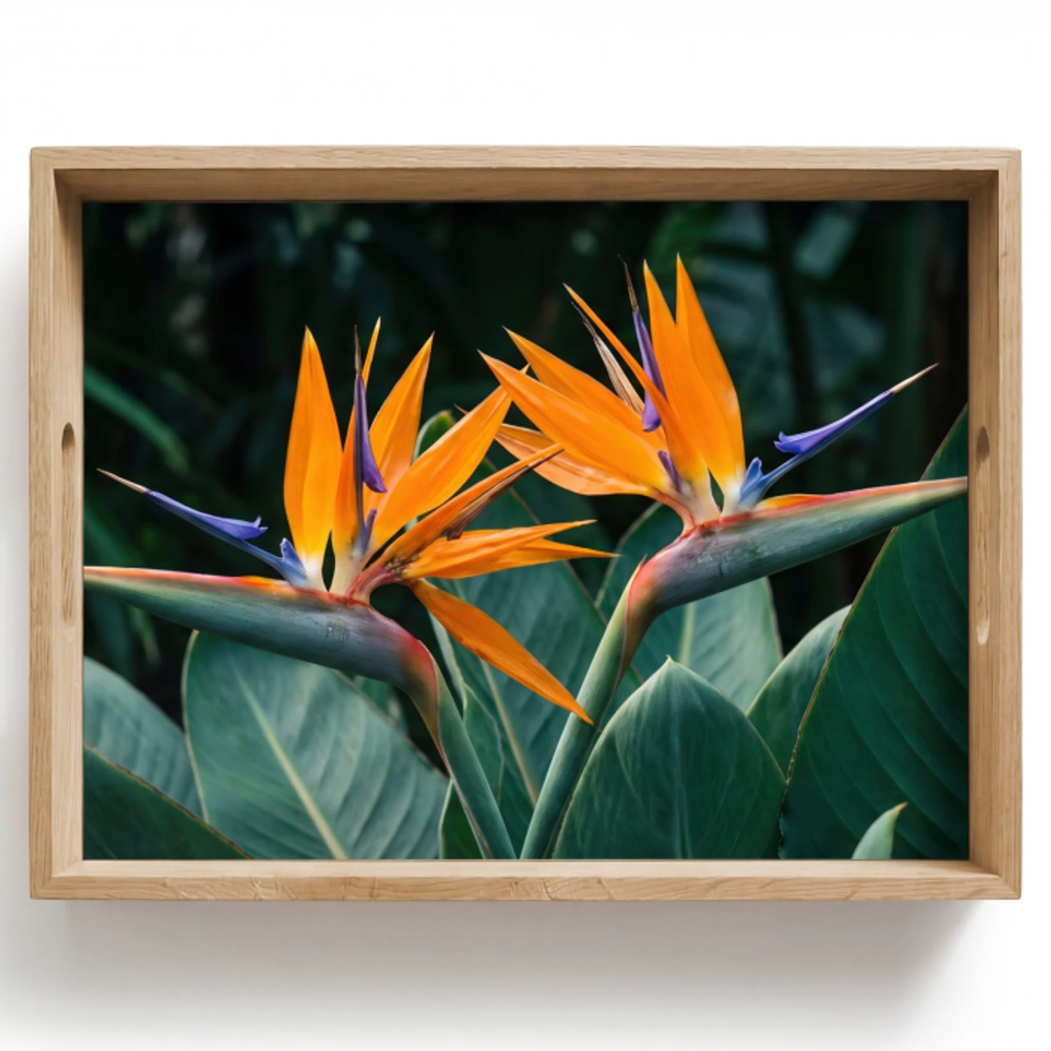 Paradijsvogel - Bloem - Exotisch Dienblad Rechthoek middel -z3d_shopping