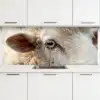 Schaap - Oog - Wit keuken achterwand 2 middel -3d