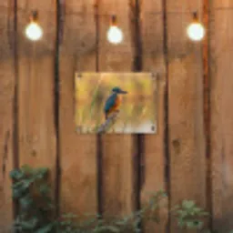 IJsvogel - Tak - Water - Kleurrijk - Levendig tuinposter los doek klein -sfeer1
