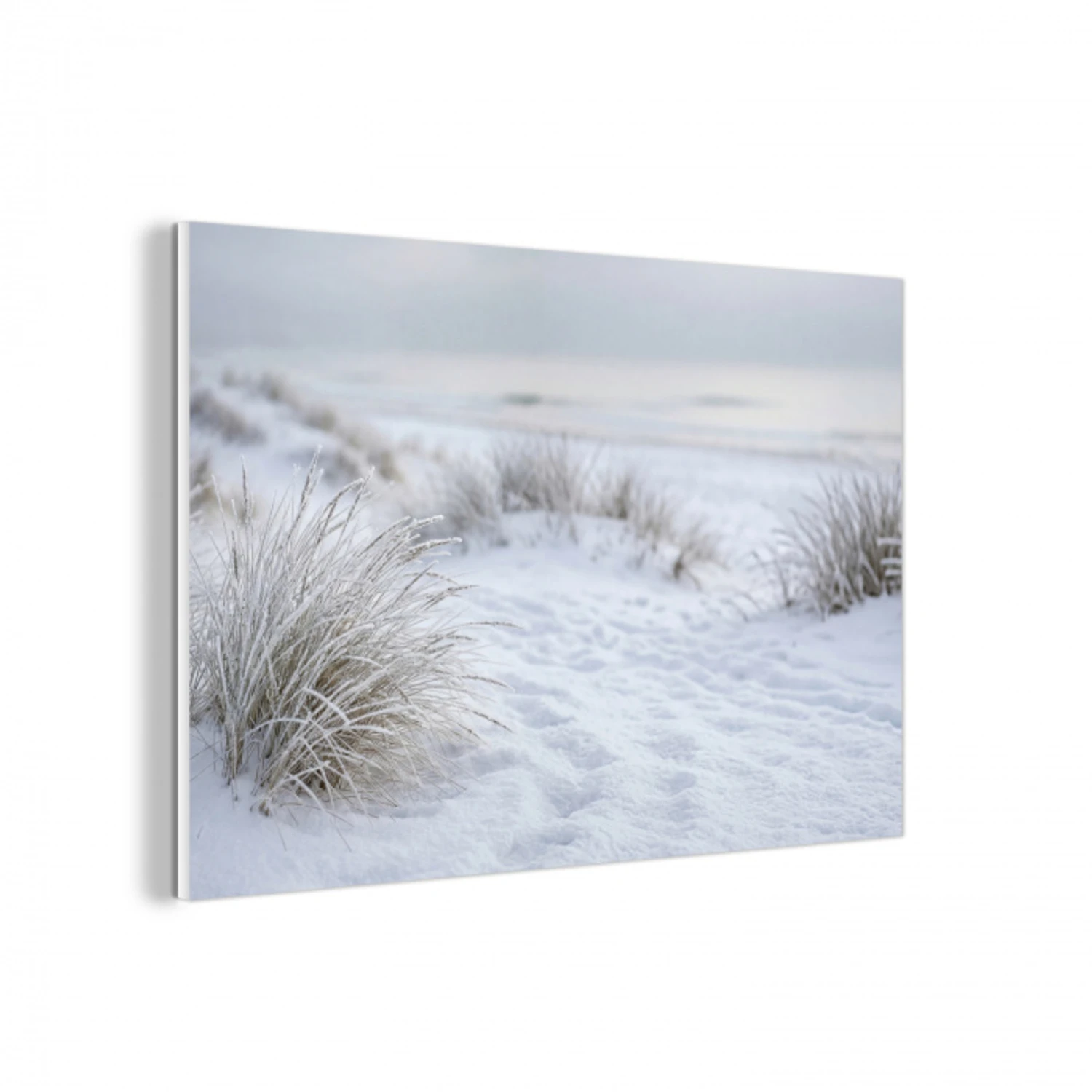 Duinen - Sneeuw - Strand - Winter - Serene forex 5mm xxl -3d