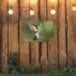 Kolibrie - Vogels - Veren tuinposter los doek klein -sfeer1