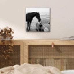 Paard - Auto - Zwart - Wit aluminium wit klein -sfeer3