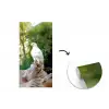 Arend - Hout - Wit - Planten fotobehang vinyl groot -3d