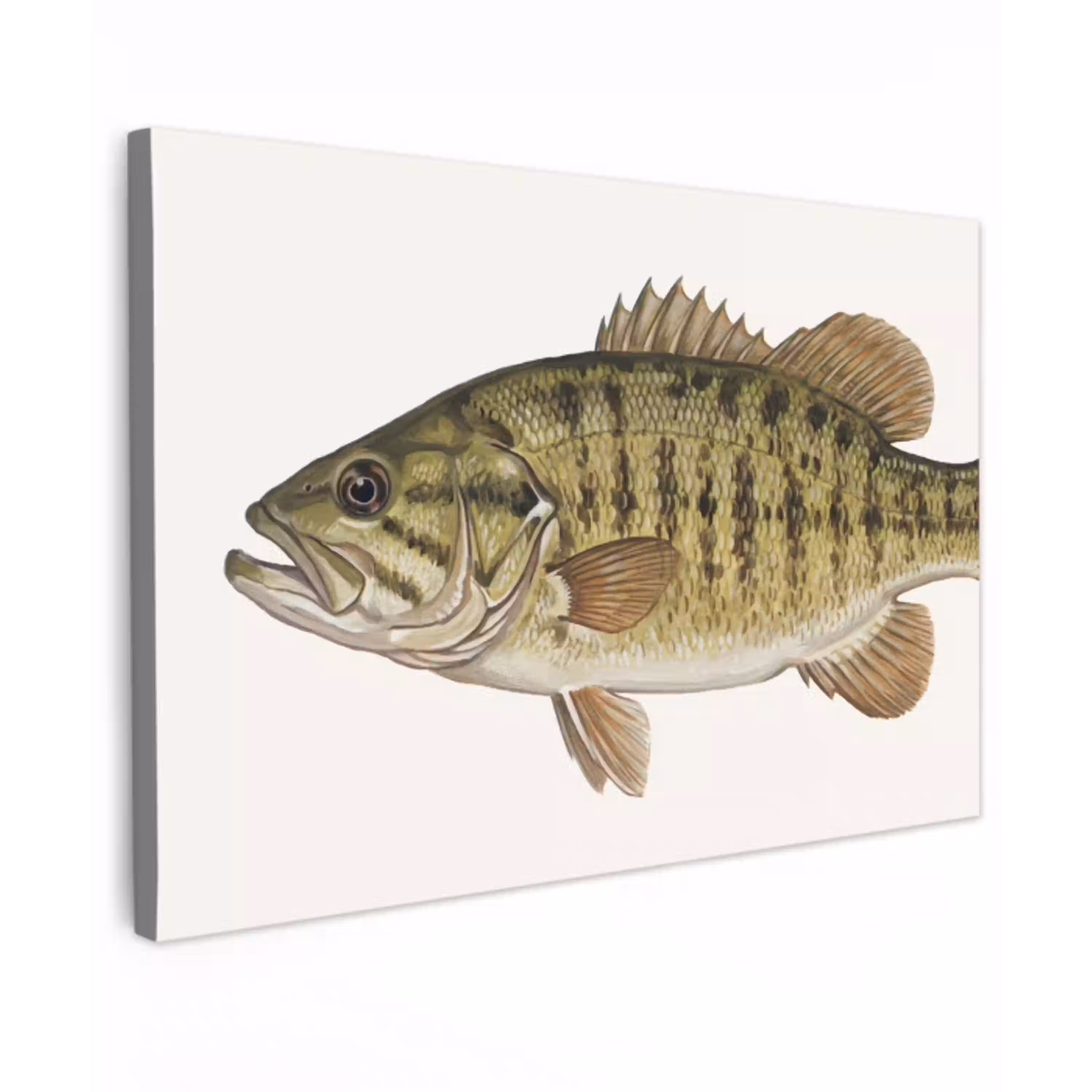Vissen - Natuur - Vintage canvas 2cm klein -z3d