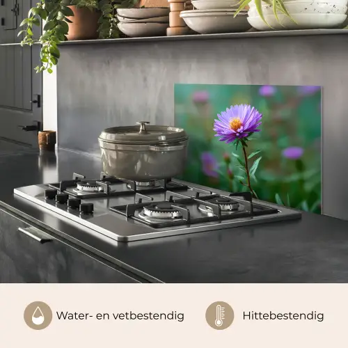 Aster - Paars - Bloem - Blaadjes keuken achterwand spatscherm klein -usp_NL