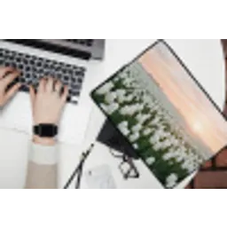 Tulpen - Landschap - Wit laptophoes neopreen klein -bureau