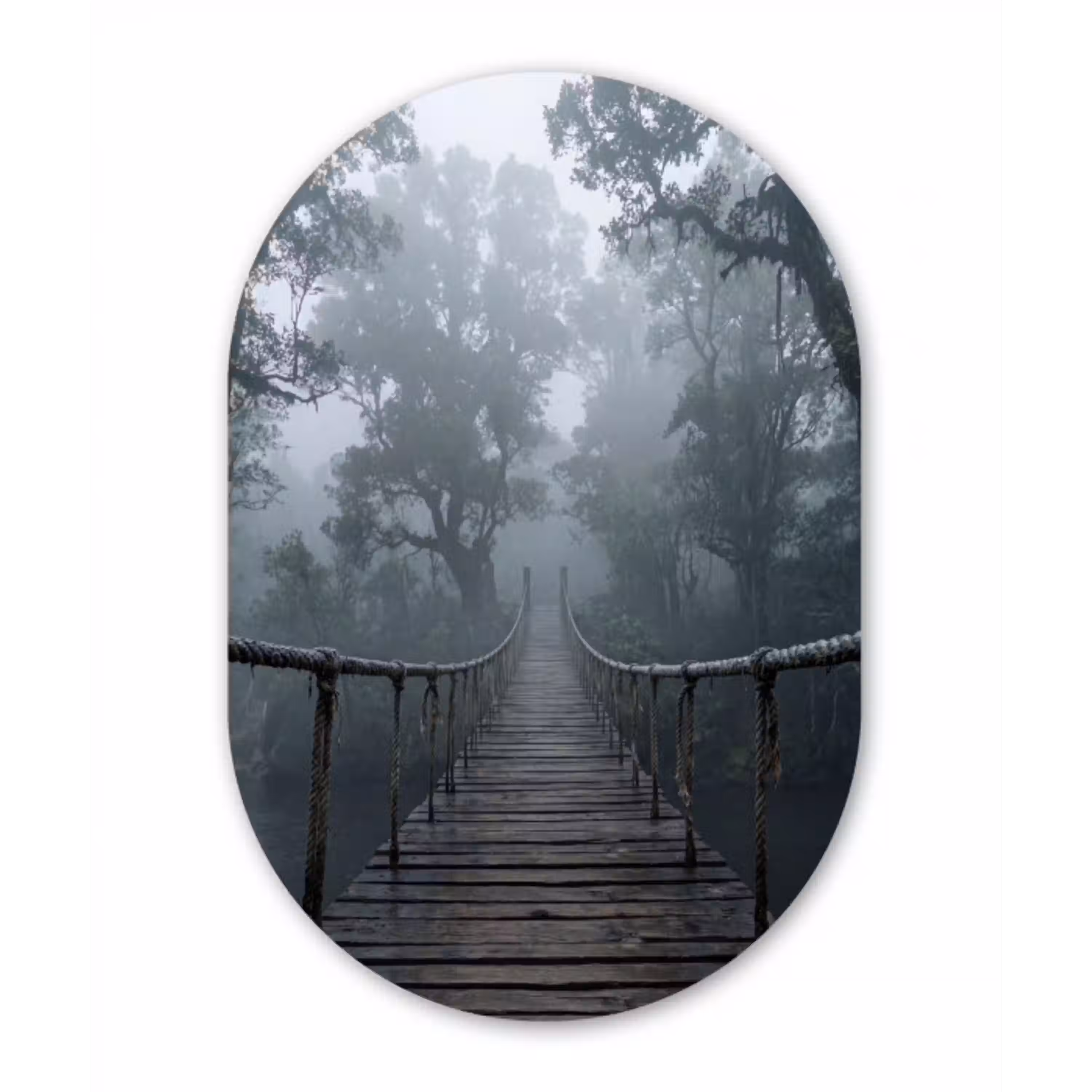 Brug - Jungle - Mist - Natuur Wandcirkel Ovaal Aluminium middel -3d