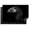 Vogel - Portret - Neushoornvogel - Zwart - Dieren Inductie beschermer vinyl 3mm klein -3d