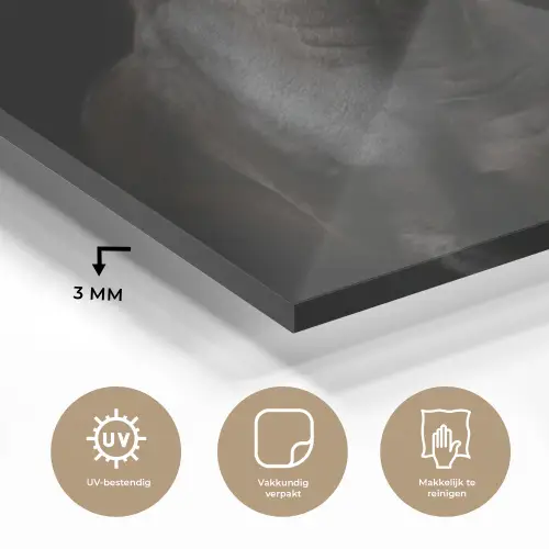 Paard - Dieren - Zwart - Portret plexiglas 5mm klein -sfeer2