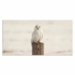 Sneeuwuil - Paal - Winter - Portret - Majestueus Muismat XXL klein -3d_leeg