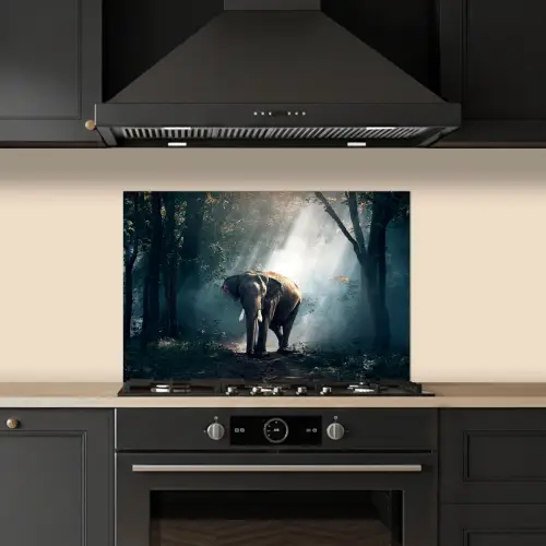 Olifant - Dieren - Licht - Bos - Natuur - Wilde dieren keuken achterwand spatscherm klein -sfeer1