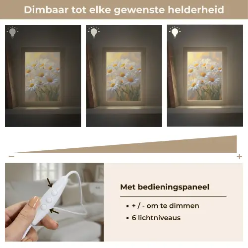 Madeliefjes - Wit - Zonlicht Light Box met kabel (Tafellamp) klein -USP_dimbaarNL