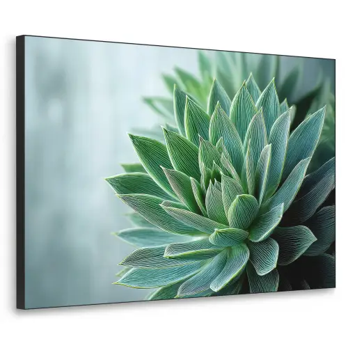 Vetplant - Bladeren - Groen - Wazig Textielframe zwart klein -3d