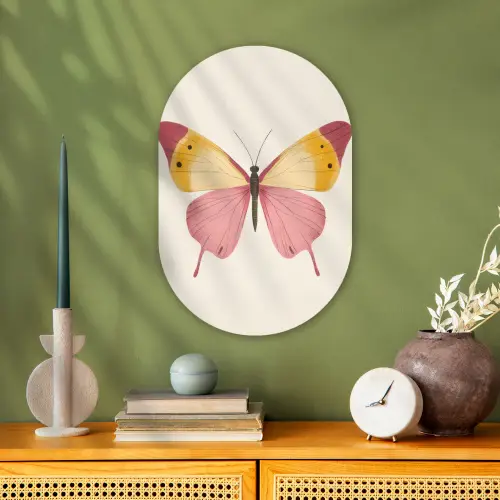 Vlinder - Illustratie - Roze Wandcirkel Ovaal Forex klein -sfeer2