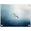 Meeuw - Wit - Zee - Mistig tuinposter los doek klein -3d