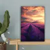 Lavendelveld - Zonsondergang - Paars canvas 2cm klein -sfeer4