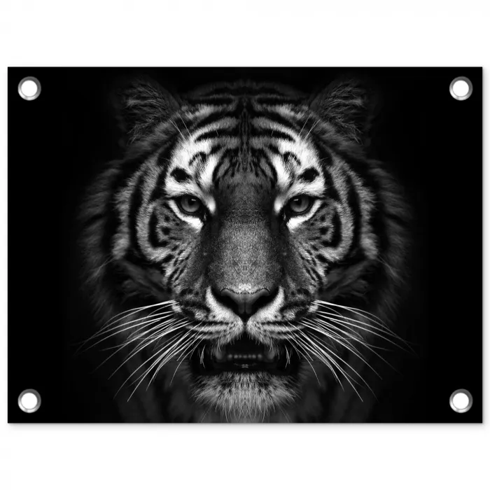 Tijger - Dieren - Zwart - Wit - Portret - Wild tuinposter los doek klein -3d