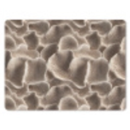 Waaiervorm - Beige - Vezel textuur muismat rubber klein 262 -3d