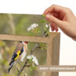 Putter - Bloesem - Lente - Natuur - Kleurrijk Light Box met kabel (Kinderlampje) klein -USP_websiteprintNL