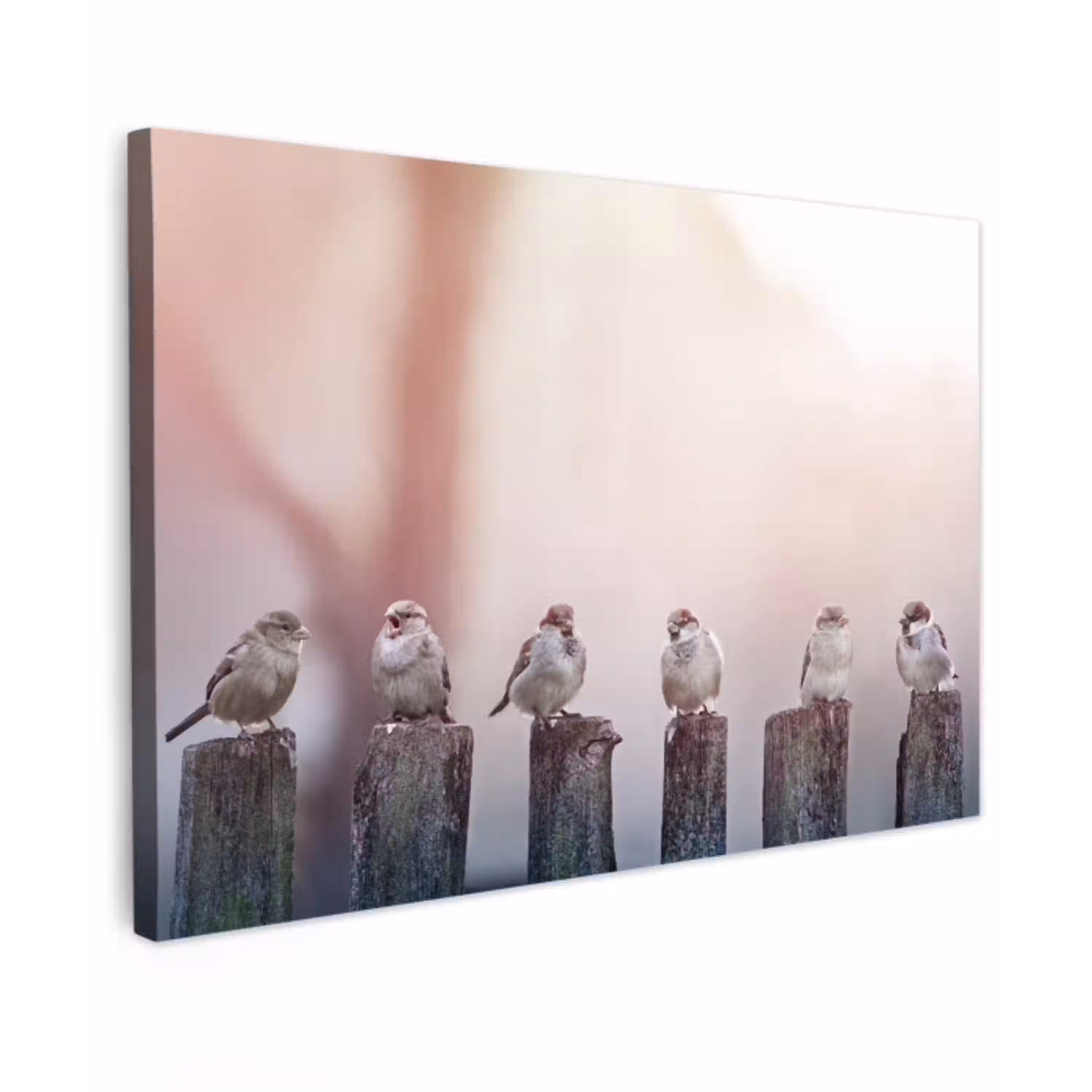 Mussen op Houten Palen Tuinposter op houten frame 2 cm dik klein -3d