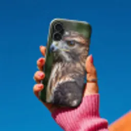 Buizerd - Roofvogel - Natuur - Bruin Toughcase MagSafe Apple iPhone 17 klein -Sfeer1V