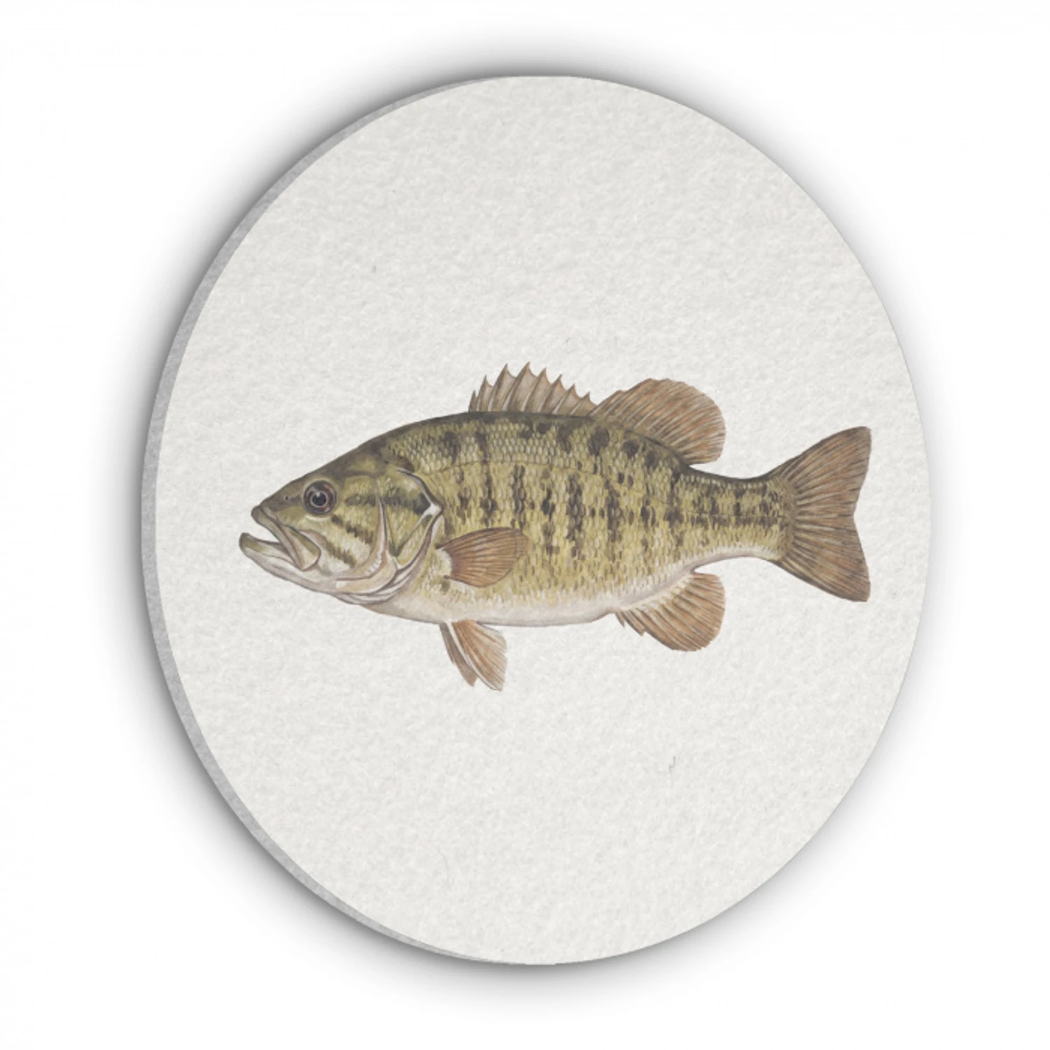 Vissen - Natuur - Vintage Akoestische PET Vilt - Rond klein -3d