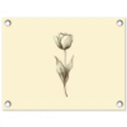 Illustratie - Tulp - Zwart tuinposter los doek klein -3d