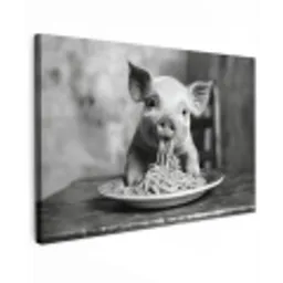 Varken - Schattig - Spaghetti - Zwart wit - Dier Tuinposter op houten frame 2 cm dik klein -3d
