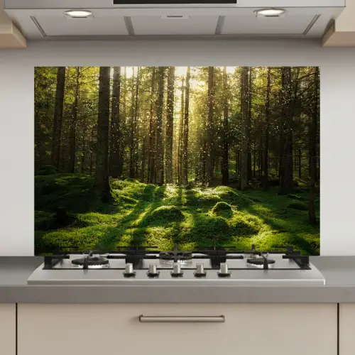 Bomen - Bos - Mos - Planten - Zon - Natuur keuken achterwand spatscherm klein -3d_website