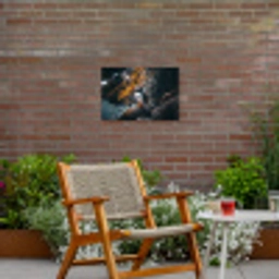 Papegaai - Vogel - Rots - Wit Tuinposter op houten frame 2 cm dik klein -sfeer3