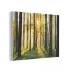 Bos - Zon - Bomen - Gras - Landschap  - Natuur PET vilt klein -3d