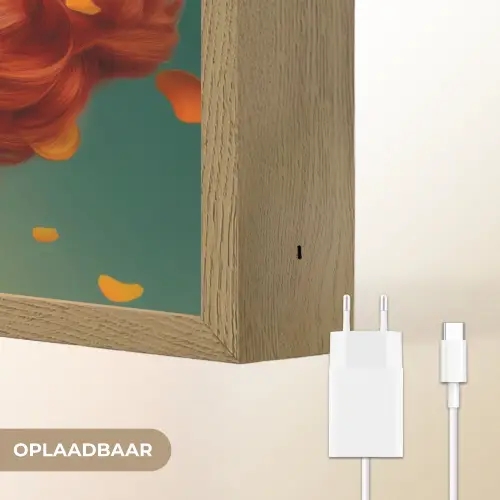 Vrouw - Sinaasappel - Bessen - Oranje Light Box met batterij (Wandlamp) middel -USP_websiteoplaadbaarNL
