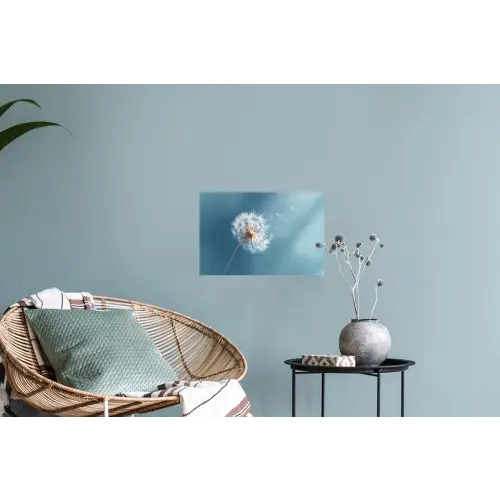 Paardenbloem - Wind - Blauw Muursticker klein -plant
