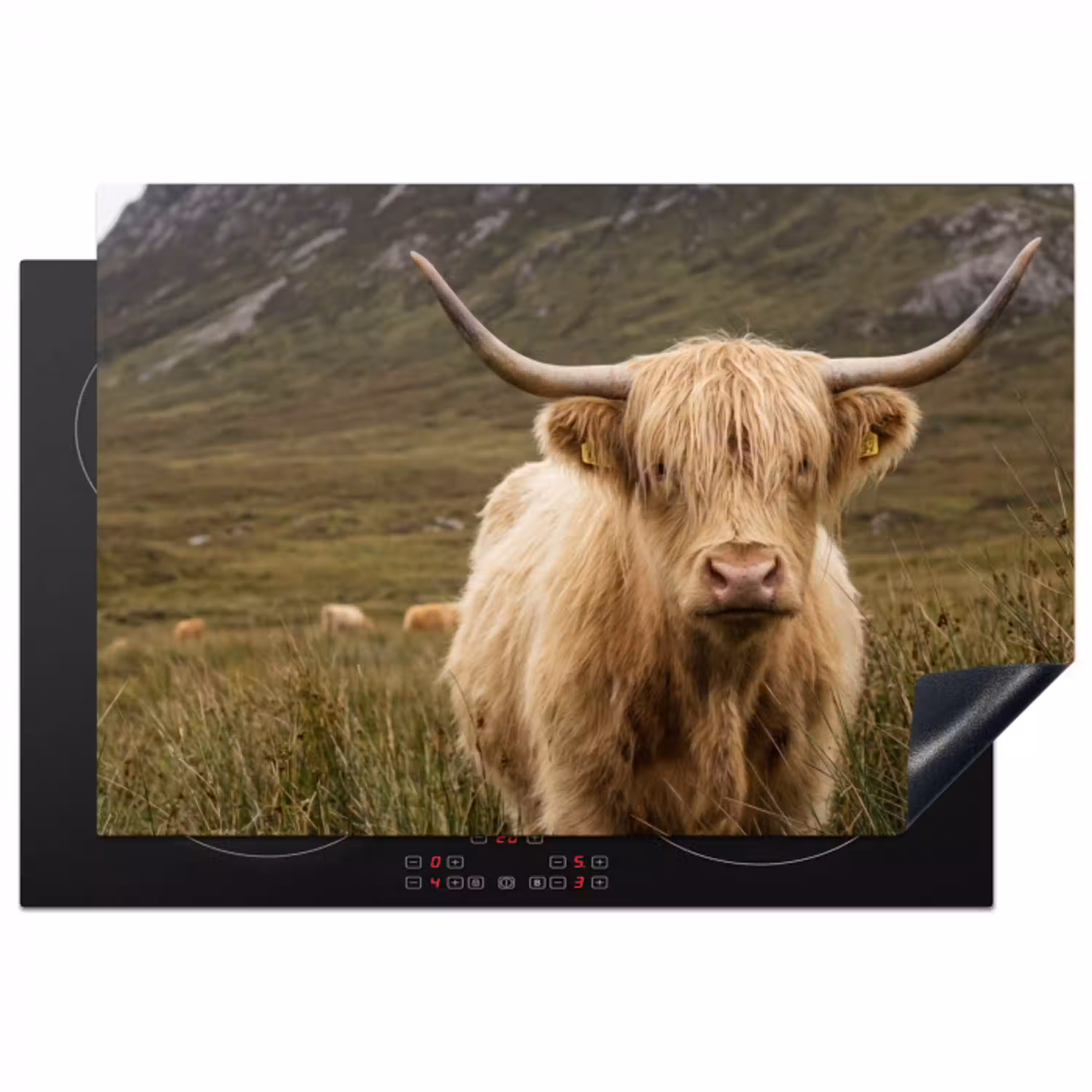 Schotse hooglander - Bergen - Grasveld Inductie beschermer vinyl 3mm klein -3d