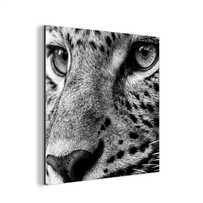 Luipaard - Zwart - Wit - Oog aluminium wit klein -3d