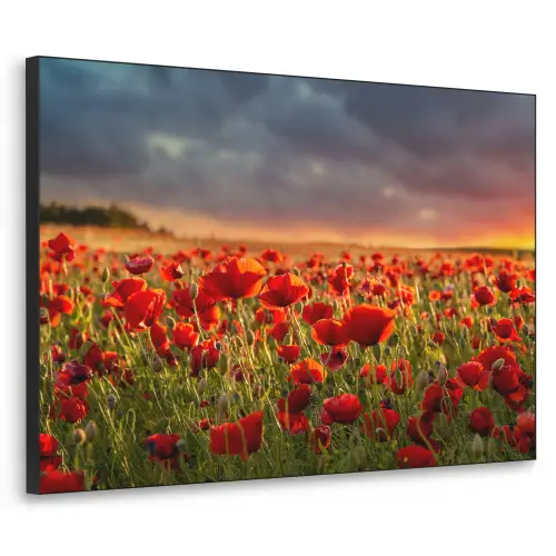 Zonsondergang - Klaprozen - Rood - Bloemen - Veld - Natuur Textielframe zwart klein -3d
