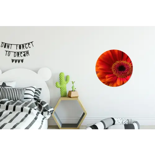Oranje - Gerbera - Intens Wandcirkel aluminium klein -kinderkamer