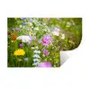 Bloemen - Natuur - Groen - Gras - Paars - Wit Muursticker klein -3d