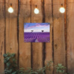 Perfecte lavendelrijen bij zonsopgang tuinposter los doek klein -sfeer1